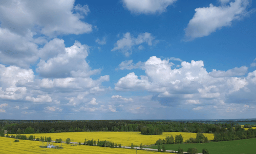 SFU Spring Season Drop